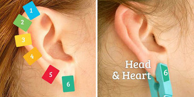 Точки органов на ушах